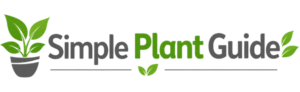 Plants Logo