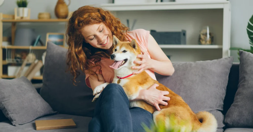 Warning sign showing citronella plant toxicity risk for dogs and cats