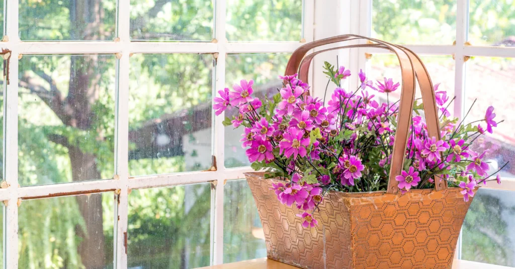 Pink flowering plant in a woven basket near a bright window