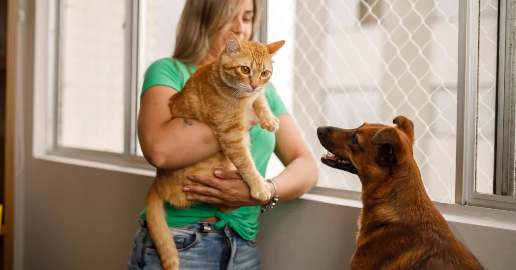 pet safety around scaredy cat plant