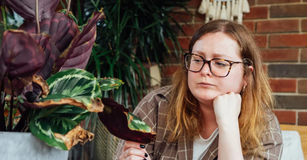Woman inspecting her houseplants to find the cause of a mealybug problem