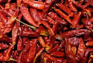 Pile of dried red chili peppers ready for storage
