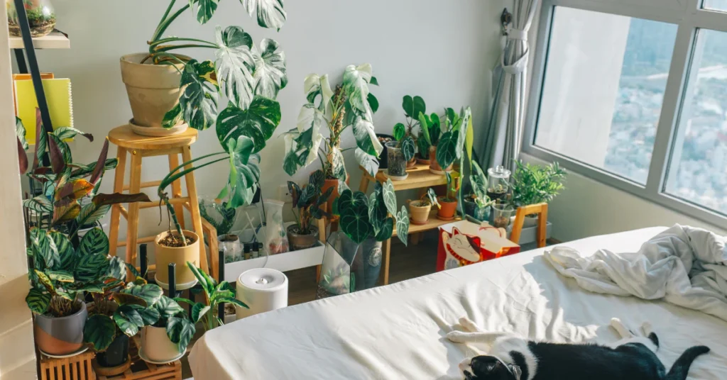 Bedroom with several indoor plants near a sunny window